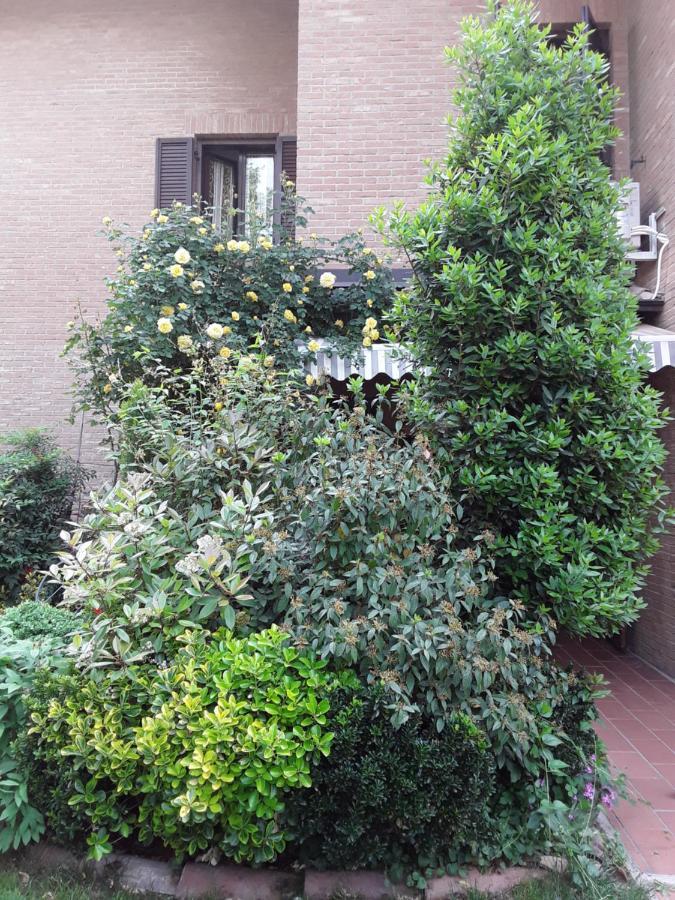 B&B La Rosa Gialla Maranello Exteriér fotografie
